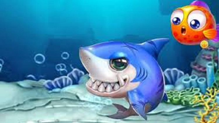 Đa dạng các loại cá cho ngư thủ lựa chọn